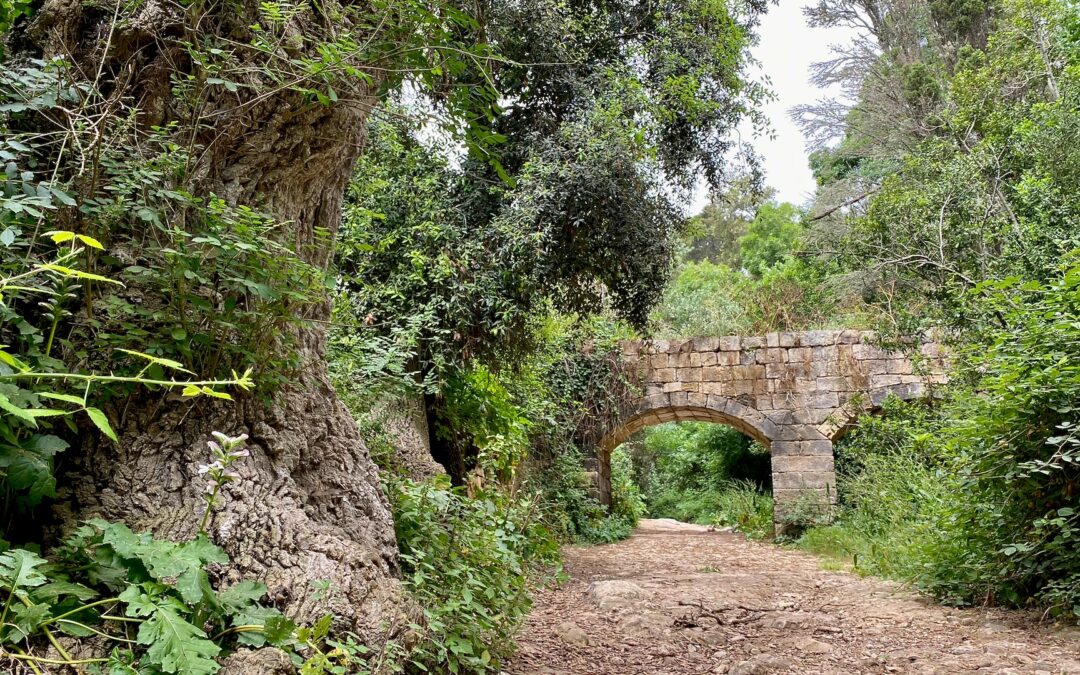 Buskett Gardens